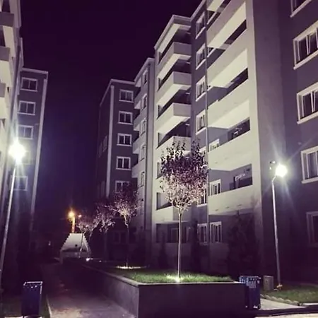 Studio Dedal Apartment Navodari
