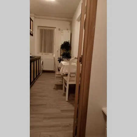 Studio Dedal Apartment Navodari